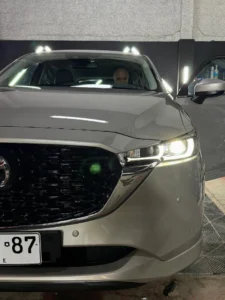 detailer-iquique